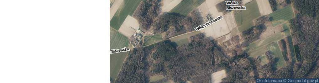 Zdjęcie satelitarne Wólka Biszewska ul.